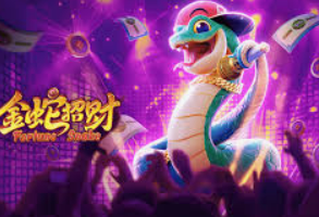 pg国际2024最新版