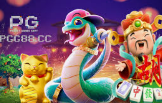 pg国际免费版